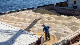 «Русагротранс» немного повысил прогноз по экспорту пшеницы из РФ